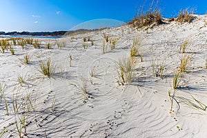 Sand Dunes On Pawley\'s Island Beach