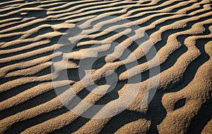 Sand dunes at Pismo beach, Nipomo