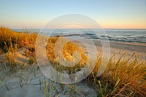 Dunes on the coast of the Baltic Sea, sunrise on the beach on a summer day.