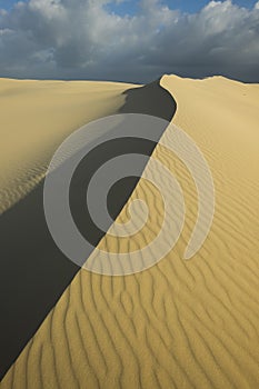 Sand dunes at Port Stephens