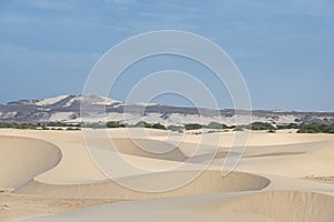 Sand dunes Praia de Santa MÃ³nica Boa Vista