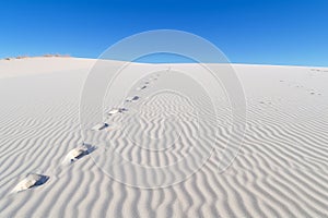 Sand dunes creating a mesmerizing landscape of curves and patterns in the desert. Generative AI.