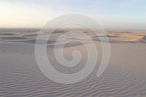 Sand dunes creating a mesmerizing landscape of curves and patterns in the desert. Generative AI.