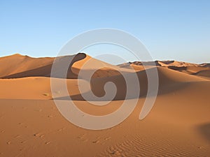 Sand Dunes of Sahara