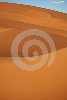 Sand dunes in the Sahara