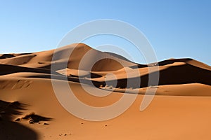 Sand dunes in Sahara desert.