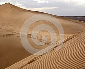 Sand dunes of the Sahara desert