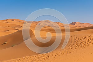 Sand Dunes in the Sahara Desert