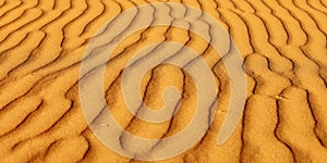 Sand dunes in the Sahara Desert