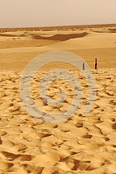 Sand dunes in the Sahara desert