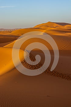 sand dunes in the Sahara desert