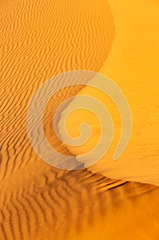 Sand dunes in the Sahara Desert