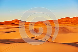 Sand dunes in the Sahara Desert