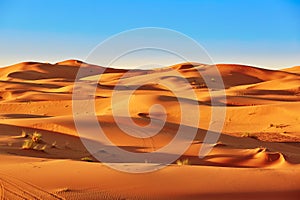 Sand dunes in the Sahara Desert