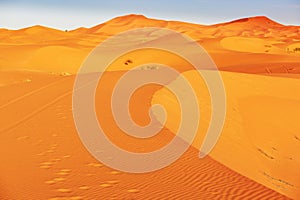 Sand dunes in the Sahara Desert