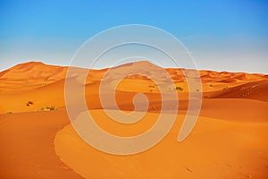 Sand dunes in the Sahara Desert