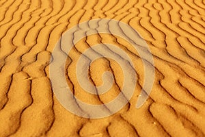 Sand dunes in the Sahara Desert