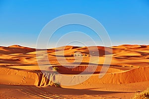 Sand dunes in the Sahara Desert