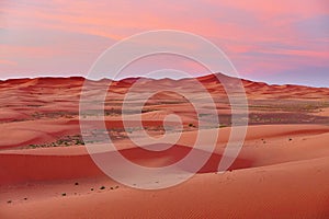 Sand dunes in the Sahara Desert