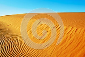 Sand dunes in the Sahara Desert