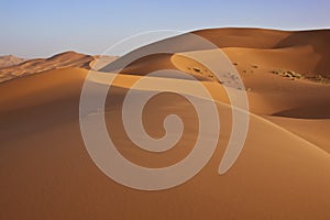 Sand dunes in the Sahara desert