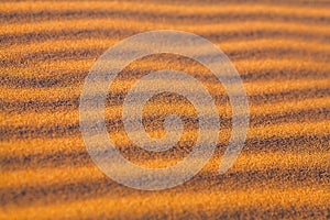 Sand dunes in Sahara desert in Africa