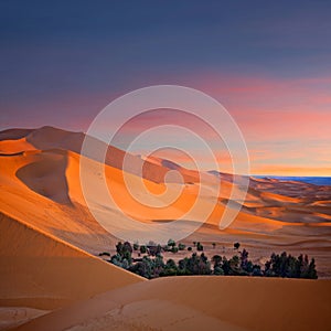 Sand dunes in Sahara desert in Africa photo