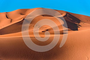 Sand dunes in the Sahara Desert, Merzouga