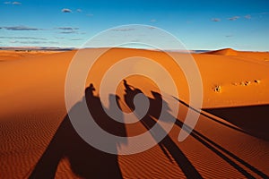 Sand dunes in the Sahara Desert, Merzouga