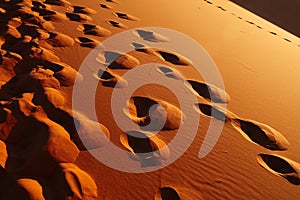 Sand dunes in the Sahara Desert, Merzouga