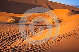 Sand dunes in the Sahara Desert, Merzouga, Morocco