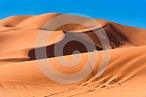 Sand dunes in the Sahara Desert, Merzouga, Morocco