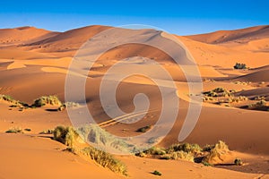 Sand dunes in the Sahara Desert, Merzouga, Morocco