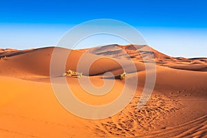 Sand dunes in the Sahara Desert, Merzouga, Morocco