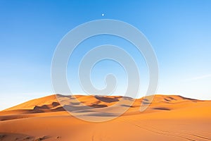 Sand Dunes in the Sahara Desert during the Morning with the Moon in the Sky