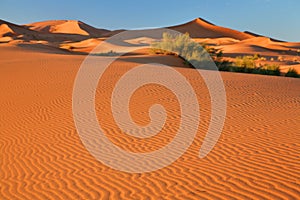 Sand dunes in the Sahara Desert, Morocco