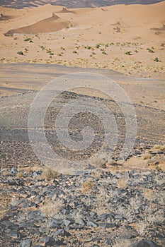 Sand dunes in the Sahara Desert, Morocco