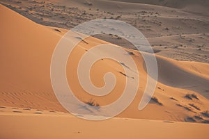 Sand dunes in the Sahara Desert, Morocco