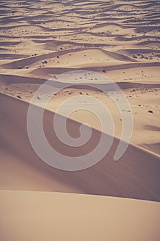 Sand dunes in the Sahara Desert, Morocco