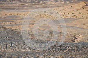 Sand dunes in the Sahara Desert, Morocco