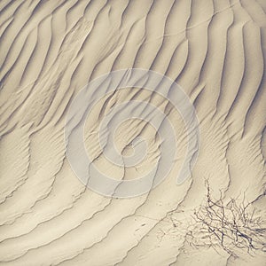 Sand dunes in the Sahara Desert, Morocco