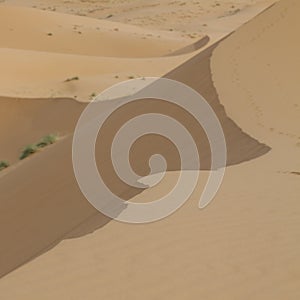 Sand dunes in the Sahara Desert, Morocco