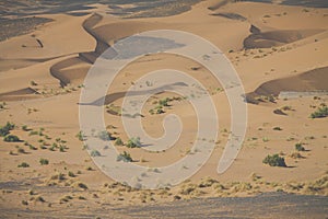 Sand dunes in the Sahara Desert, Morocco