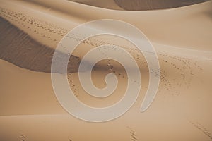 Sand dunes in the Sahara Desert, Morocco