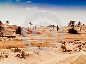 Sand dunes in the sahara desert near Douz Tunisia Africa