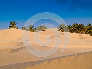 Sand dunes in the sahara desert near Douz Tunisia Africa