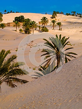 Sand dunes in the sahara desert near Douz Tunisia Africa