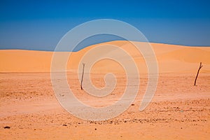 Sand dunes of Sahara desert near Ong Jemel in Tozeur,Tunisia.