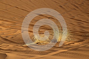 Sand dunes in the Sahara Desert near the village of Merzouga in Morocco