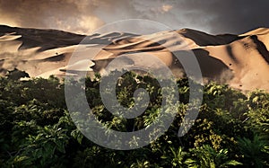 Sand dunes Sahara Desert at sunset and sandstorm